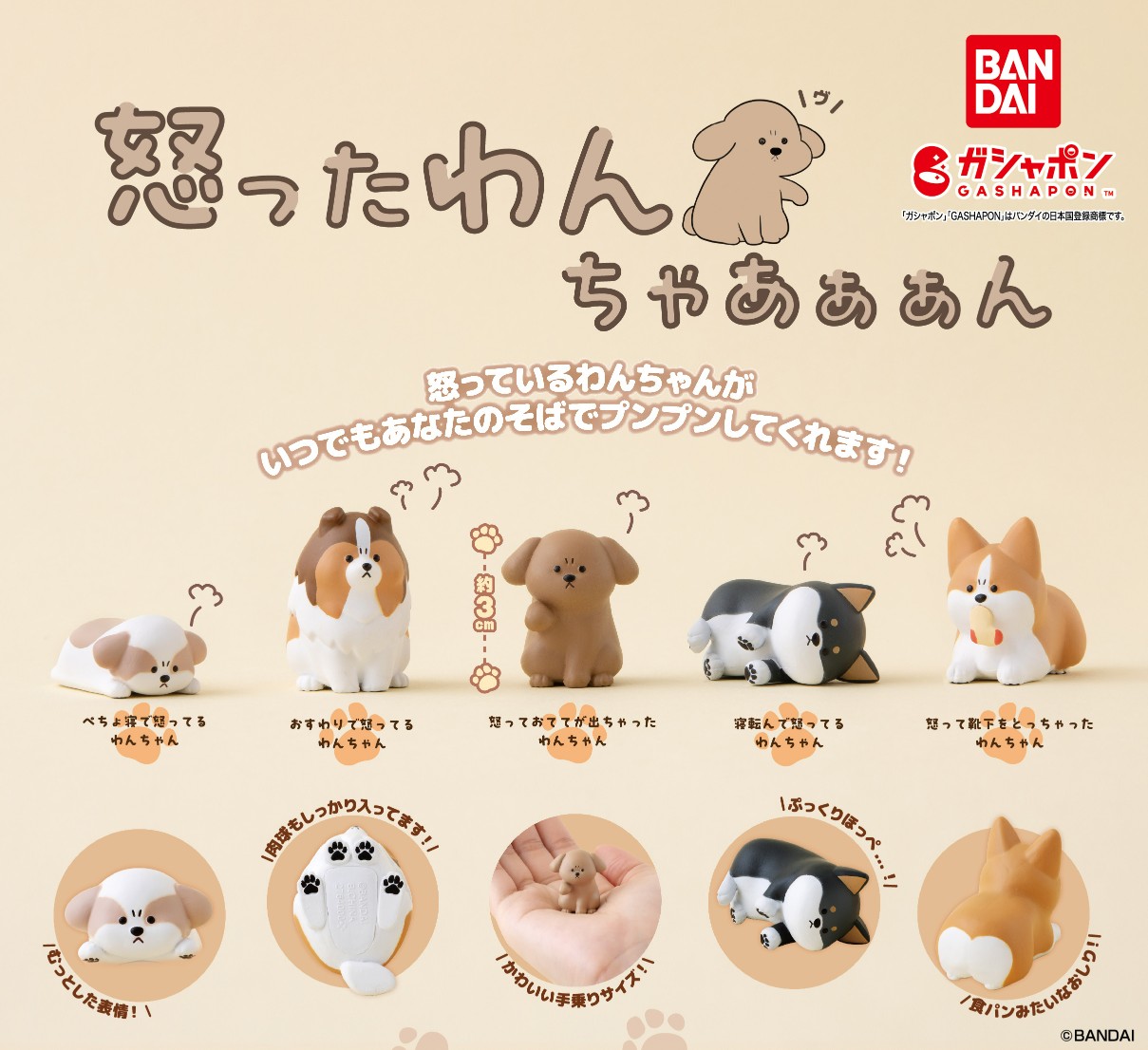 予約・購入】怒ったわんちゃあぁぁん /設置場所| ガチャガチャアイランド