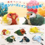 ことりの休日 くつろぎインコ