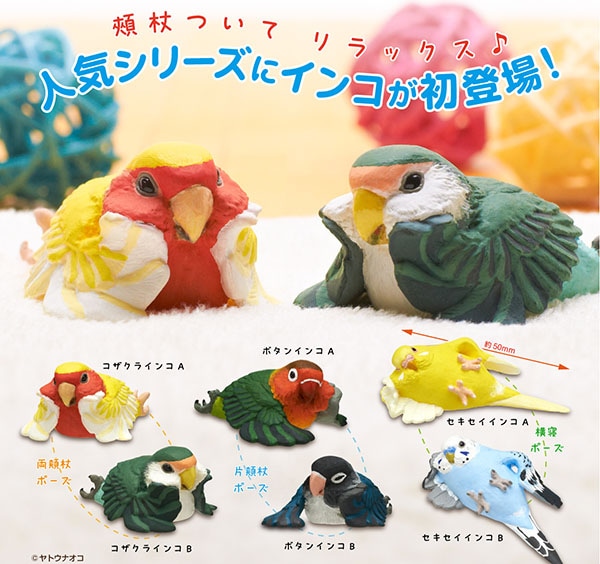 ことりの休日 くつろぎインコ