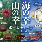海の幸山の幸ボールチェーンこれくしょん