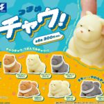 つまめチャウ！