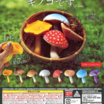 キノコです。（再販）