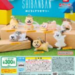 しばんばん めじるしアクセサリー