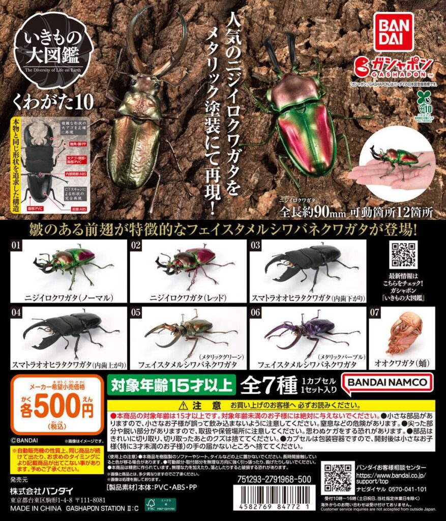 いきもの大図鑑 くわがた10