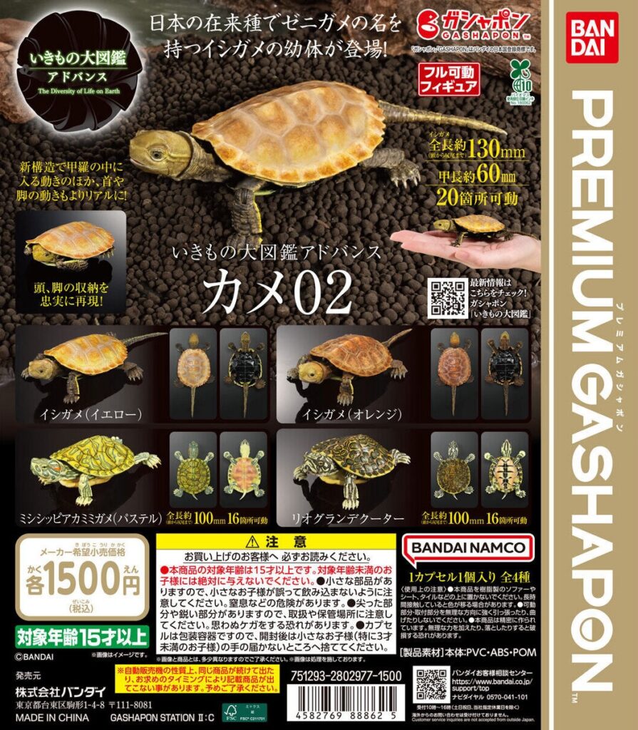 いきもの大図鑑アドバンス カメ02