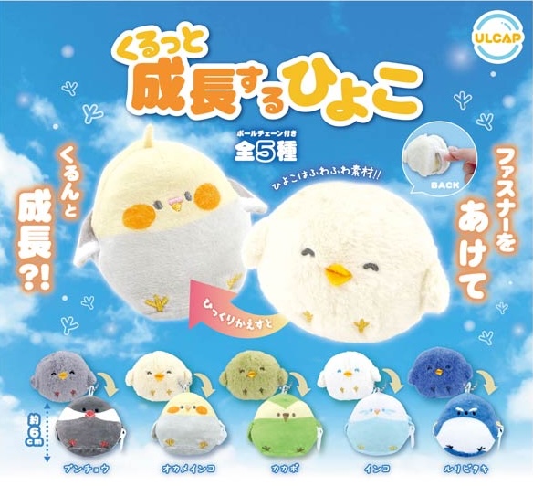 くるっと成長するひよこ