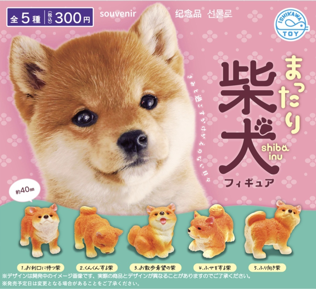 コーギー　柴犬　フィギュア　一式　ガチャポン　景品 コーギー 柴犬 フィギュア 一式 ガチャポン 景品 Amazon.co.jp: JXK 1