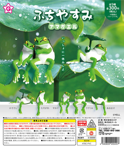 ふちやすみ アマガエル