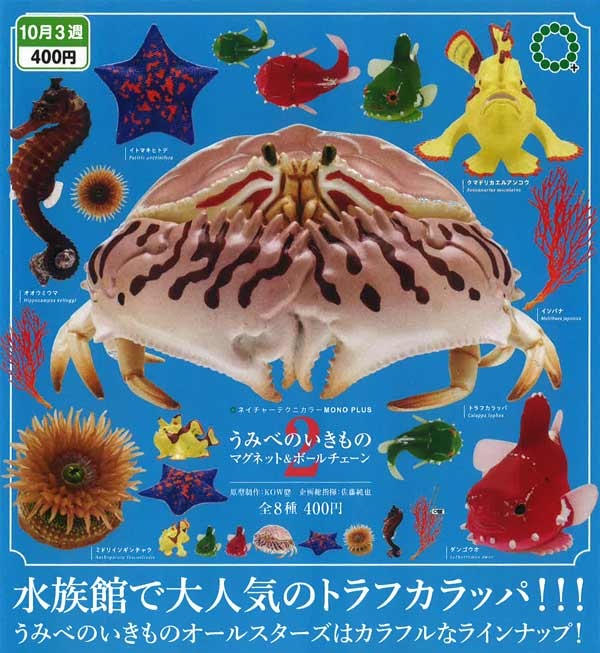 うみべのいきもの マグネット＆ボールチェーン２