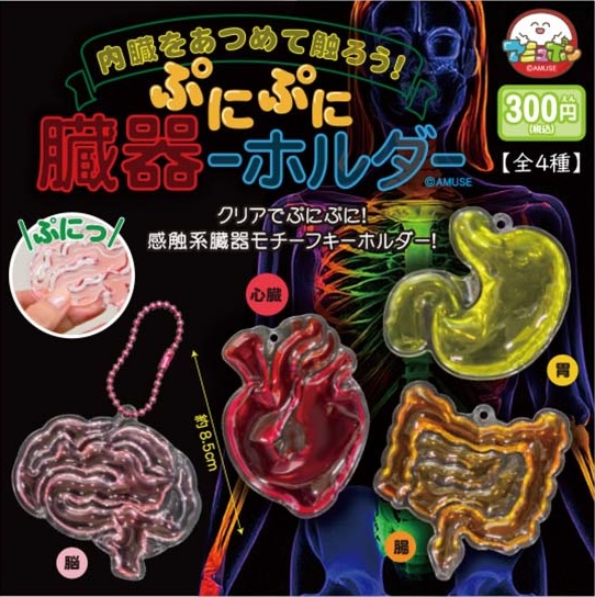 ぷにぷに臓器ーホルダー