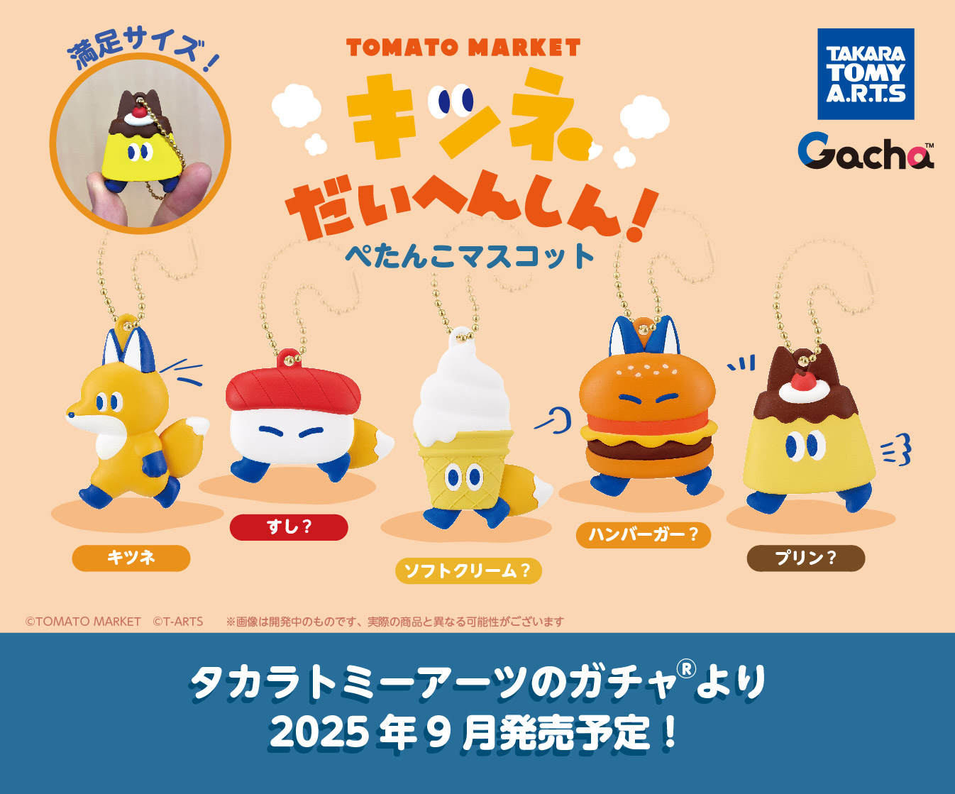 予約・購入】トマトマーケット ぺたんこマスコット2 キツネだい