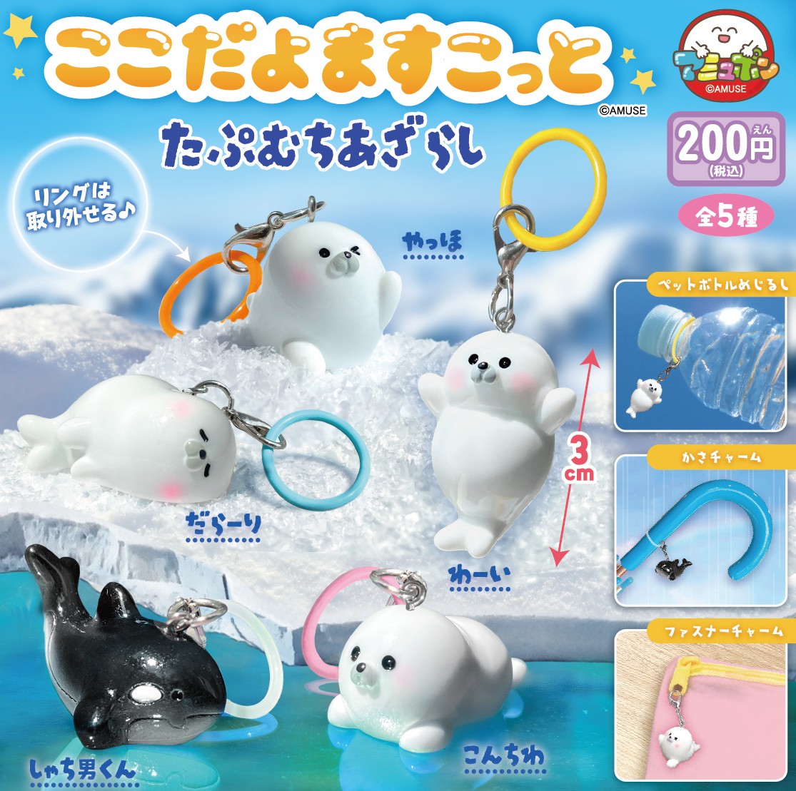 予約・購入】ここだよますこっと たぷむちあざらし /設置場所