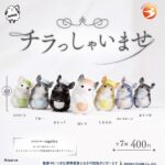 チラっしゃいませ