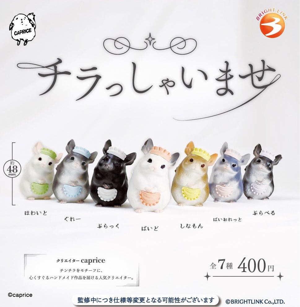 チラっしゃいませ