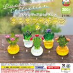 ぷちフィギュアコレクション キラキラサボテン２