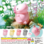ぷきゅ〜と！ウーパールーパー