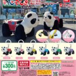 パンダカー めじるしアクセサリー（再販）