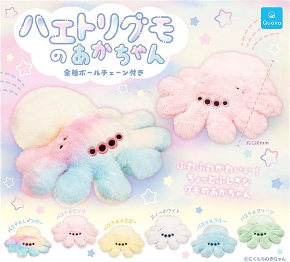 ハエトリグモのあかちゃん
