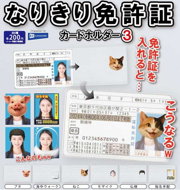 なりきり免許証カードホルダー3