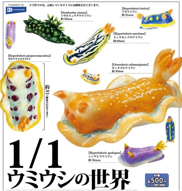 1/1ウミウシの世界