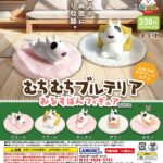 むちむちブルテリア おるすばんフィギュア