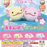 ウーパーのるるんぱぷちぐるみ