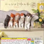 いっしょにねんね にゃんこ（再販）
