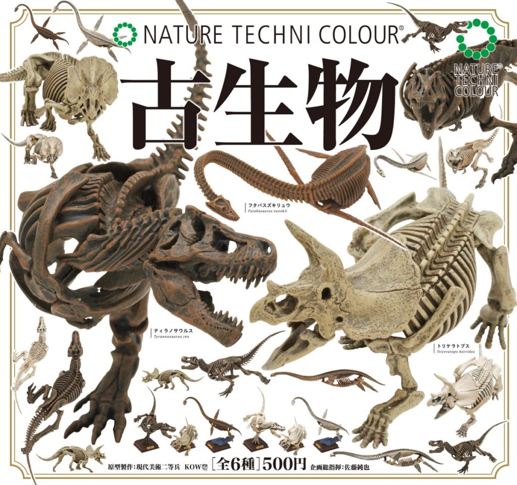 NTC 古生物