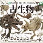 NTC 古生物