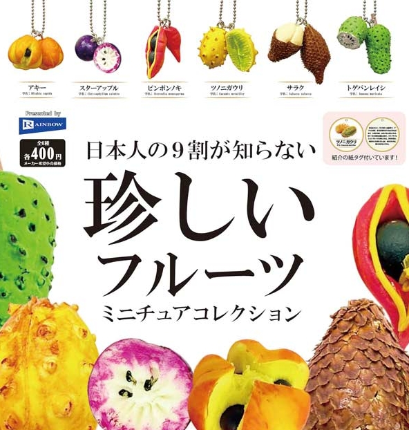 日本人の9割が知らない珍しいフルーツミニチュアコレクション