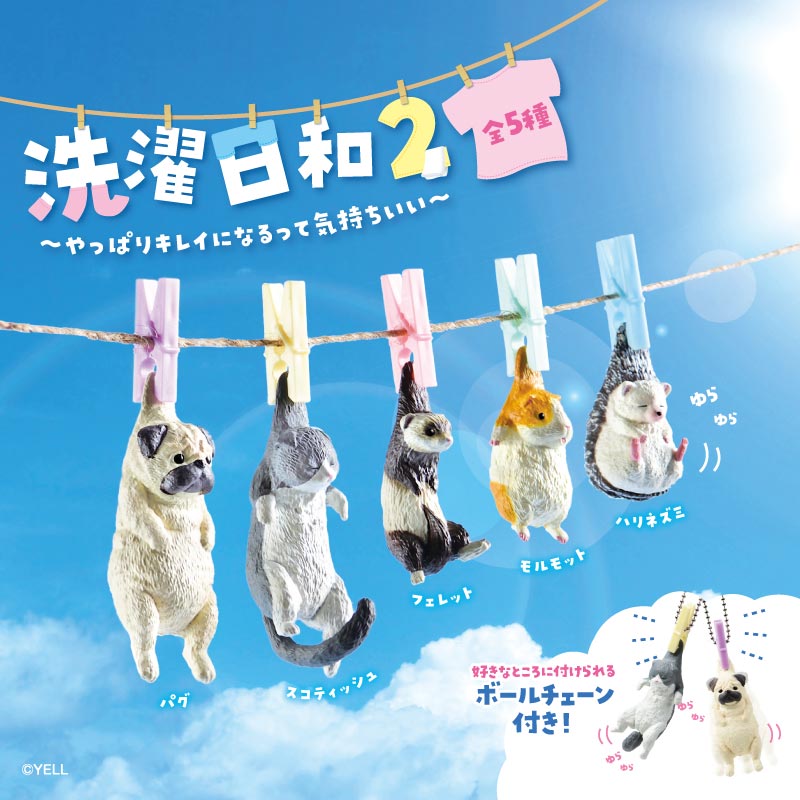 洗濯日和２