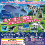 NTC のとじま水族館 アクリルマスコット