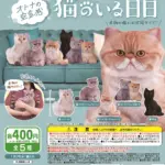 オトナの空気感 猫のいる日日