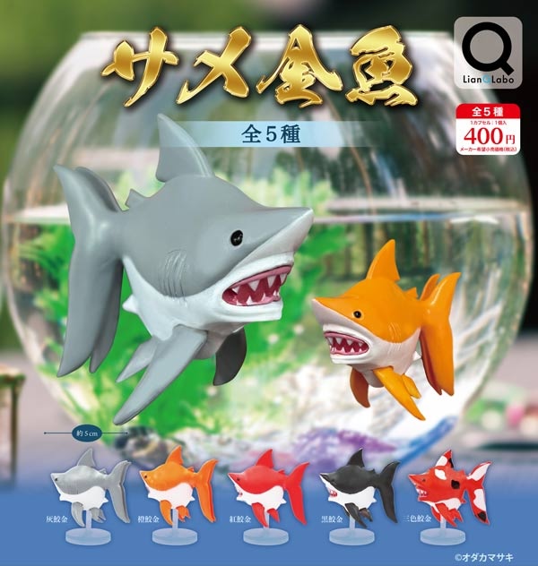 サメ金魚