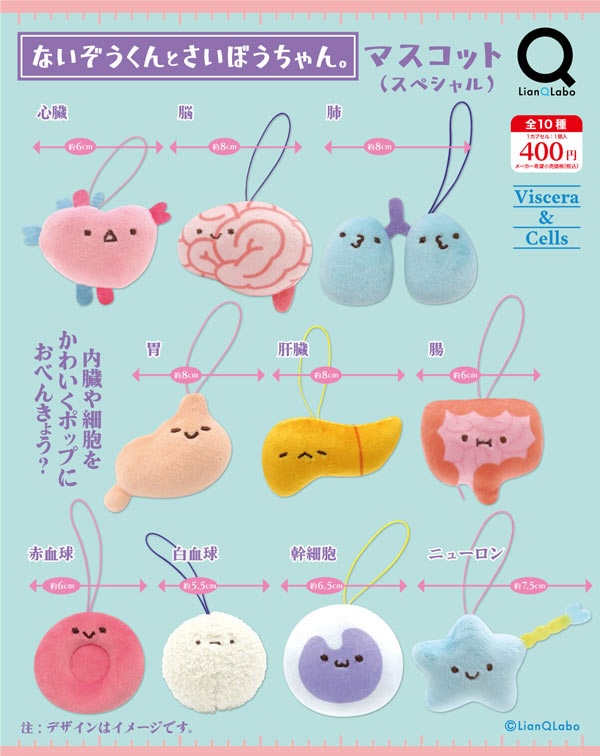 ないぞうくんとさいぼうちゃん。マスコット（スペシャル）