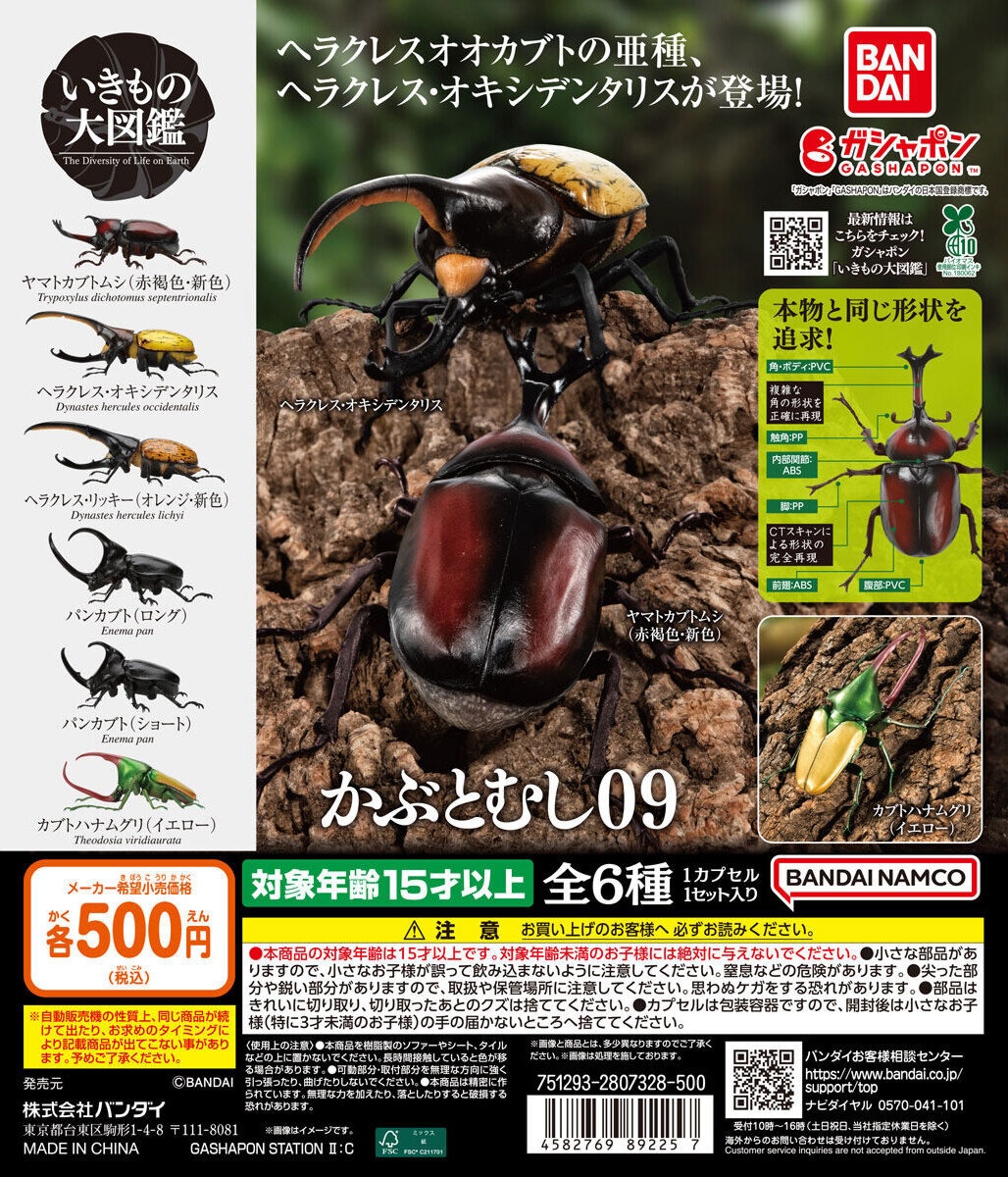 予約・購入】いきもの大図鑑 かぶとむし09 /設置場所| ガチャガチャ