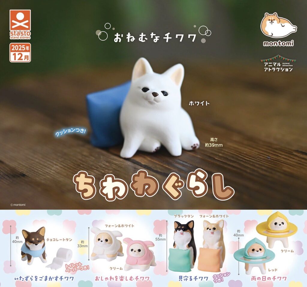 ちわわぐらし