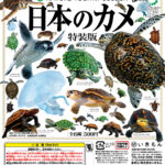 ネイチャーテクニカラー 日本のカメ 特装版（再販）