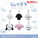 じょせまる めじるしアクセサリー