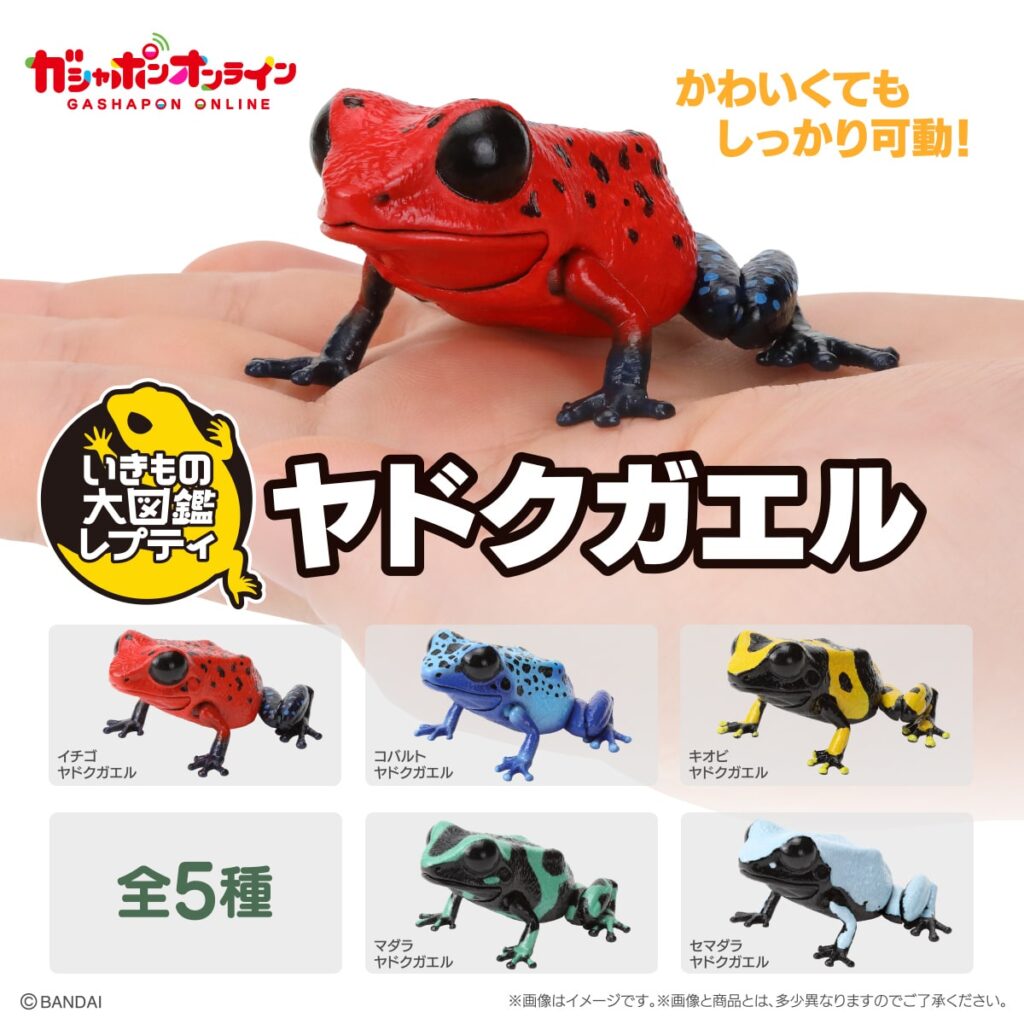 いきもの大図鑑レプティ ヤドクガエル