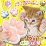 ぷにぷににゃんこの肉球