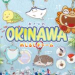 OKINAWAめじるしチャーム