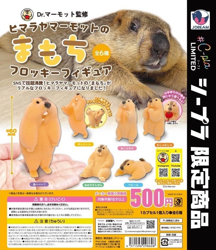 ヒマラヤマーモットのまもち フロッキーフィギュア
