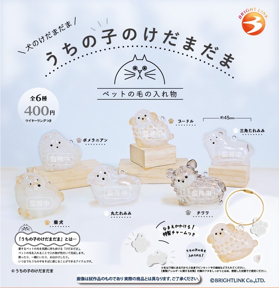 うちの子のけだまだま 犬のけだまだま