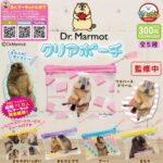 Dr.マーモット クリアポーチ