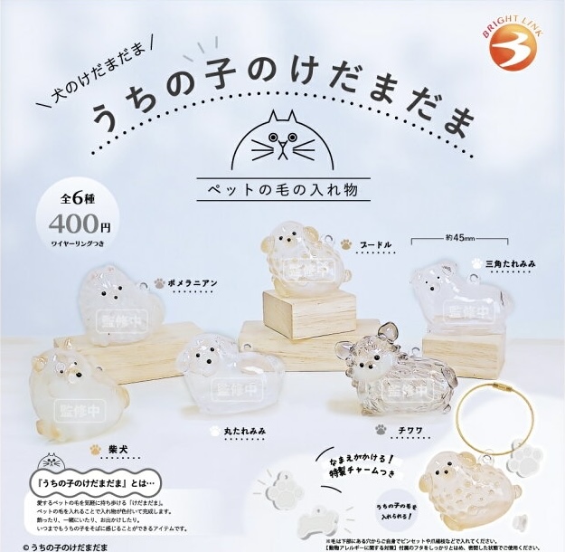 うちの子のけだまだま 犬のけだまだま