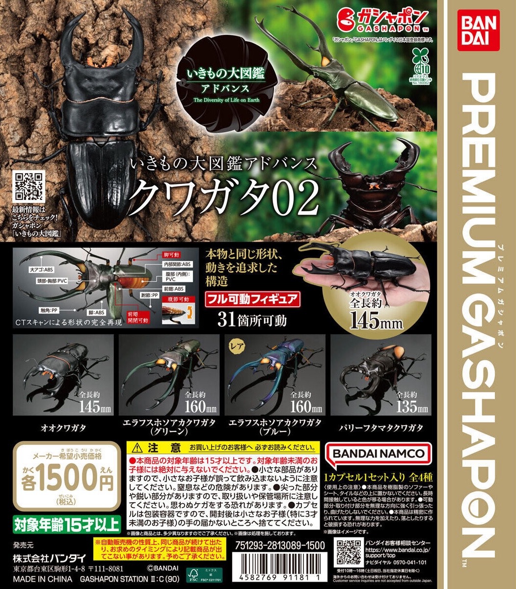 予約・購入】いきもの大図鑑アドバンス クワガタ02 /設置場所