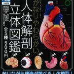 STC かなりやわらかい人体解剖立体図鑑