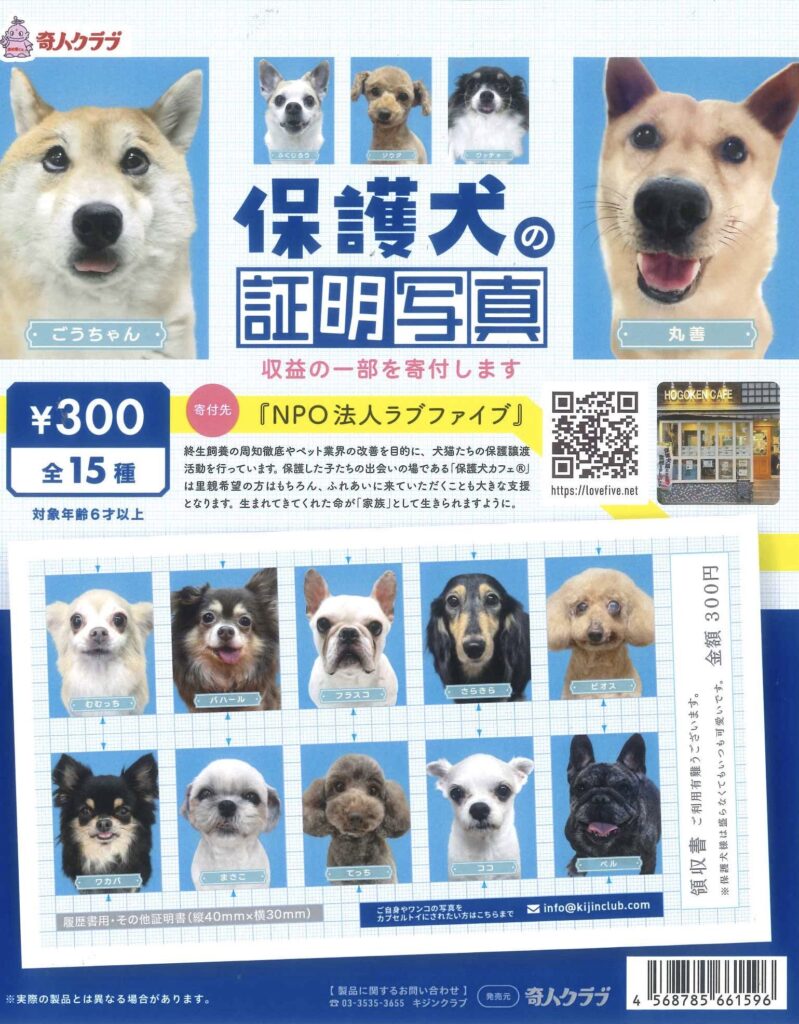 保護犬の証明写真
