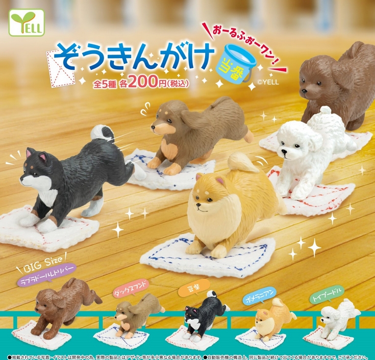 ぞうきんがけ当番 おーるふぉーワン!(再販)